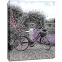 Assaf Frank - Bicycle on a garden path