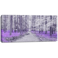Assaf Frank - Path through bluebell forest, FTBR 1848