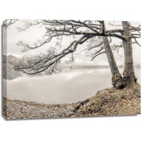 Assaf Frank - Tree by the Lake