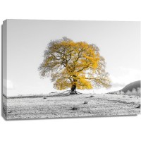Assaf Frank - Tree on a hill