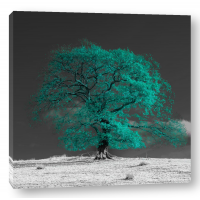 Assaf Frank - Tree on a hill-teal