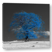 Assaf Frank - Tree on a hill-blue