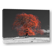 Assaf Frank - Tree on a hill-orange