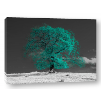 Assaf Frank - Tree on a hill-teal