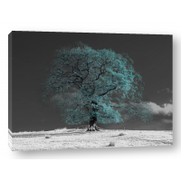 Assaf Frank - Tree on a hill-teal