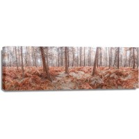 Assaf Frank - Autumn forest