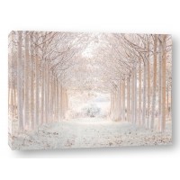 Assaf Frank - Winter forest