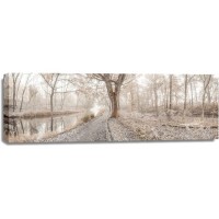 Assaf Frank - Misty forest