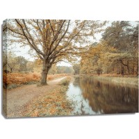 Assaf Frank - Canal through forest