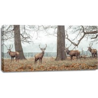 Assaf Frank - Stags in forest