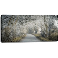 Assaf Frank - Frosted road through forest