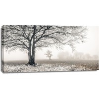 Assaf Frank - Misty forest