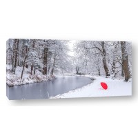 Assaf Frank - Umbrella by a snowy canal