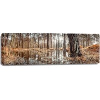 Assaf Frank - Canal through forest
