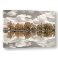 Assaf Frank - Trees along the lake