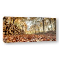 Assaf Frank - Stack of tree logs in autumn forest