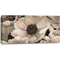 Assaf Frank - AF20111223 Anemone 008C18