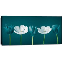 Assaf Frank - AF20120424 Tulips 350C09