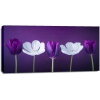 Assaf Frank - AF20120424 Tulips 351C13