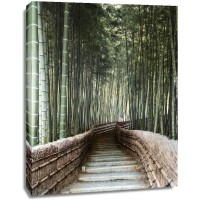 Forest Bridge