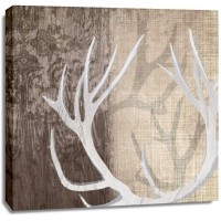 Tandis Venter - Deer Lodge I 