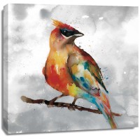 Stephane Fontaine - Cardinal 