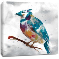 Stephane Fontaine - Blue Jay 
