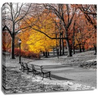 Assaf Frank - Park Pretty I