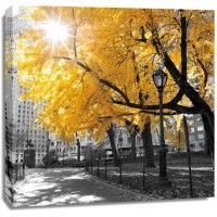 Assaf Frank - Park Pretty II