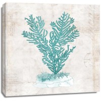 Sabine Berg - Under the Sea II