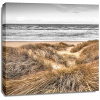 Assaf Frank - Beach Dunes