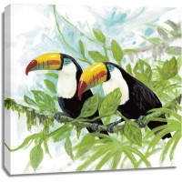 Arnie Fisk - Toucans