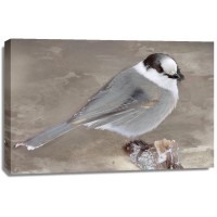 Stephane Fontaine - Grey Jay II