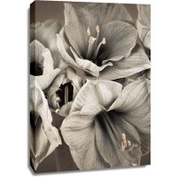 Assaf Frank - Grand Floral II