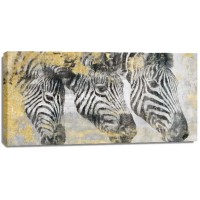 Dina Perejogina - Zebra 