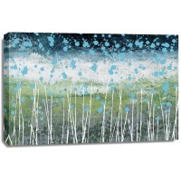 Liz Nichtberger - Aqua Splash 