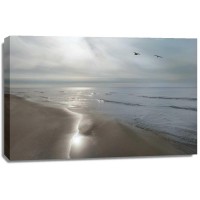 Monte Nagler - Beach Flight