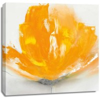 J.P. Prior - Wild Orange Sherbet II