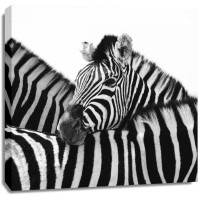 Nina Papiorek  - A Safe Place