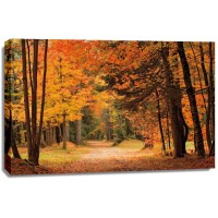 Mike Jones - Autumn Walk