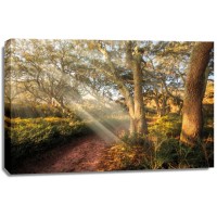 Celebrate Life Gallery - Inspiration 
