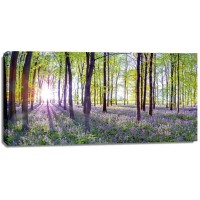 Assaf Frank  - Bluebells and Sunrise