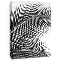 Dennis Frates - Tropical Fan