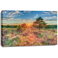 Assaf Frank - Heathland Sunset