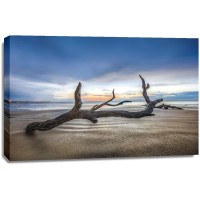 Celebrate Life Gallery - Bones Beach