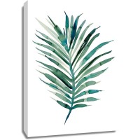 Marina Billinghurst - Areca