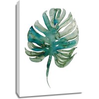 Marina Billinghurst - Monstera