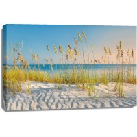 Dennis Frates - I Love the Beach