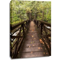 D. Burt - Autumns Bridge