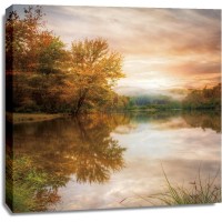 Celebrate Life Gallery - Fallen Leaves